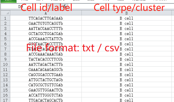 File format