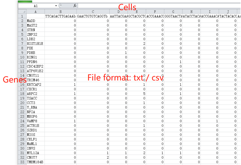 File format