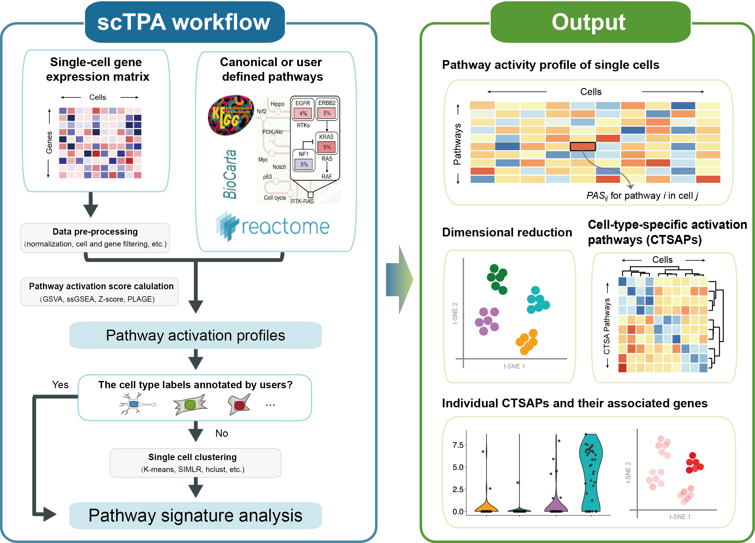 Expandable picture for workflow